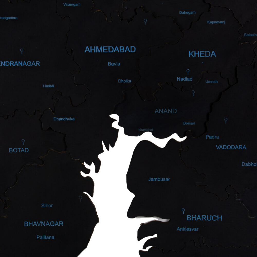 3D Wooden Gujarat map Obsidian Black
